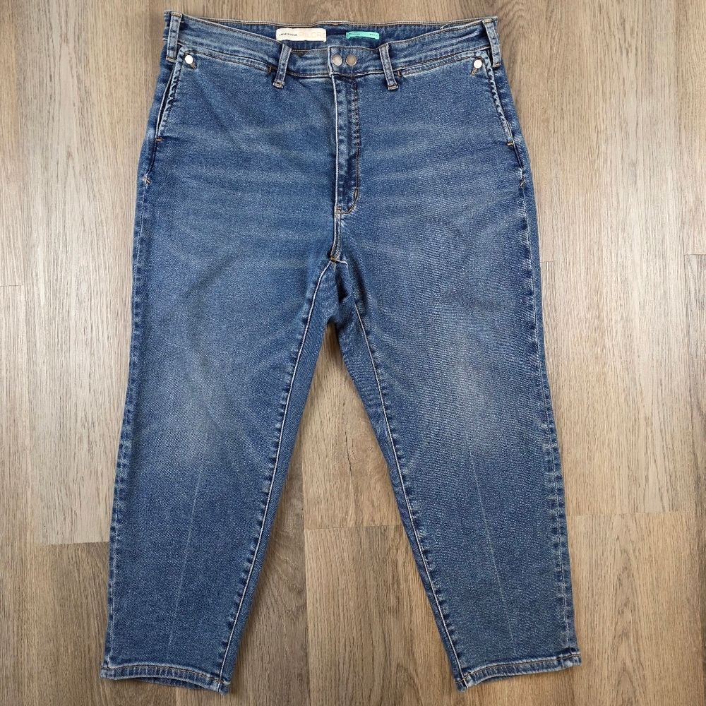 Anthropologie Pilcro And The Letterpress High-Rise Cigarette Jeans Size 16W Plus